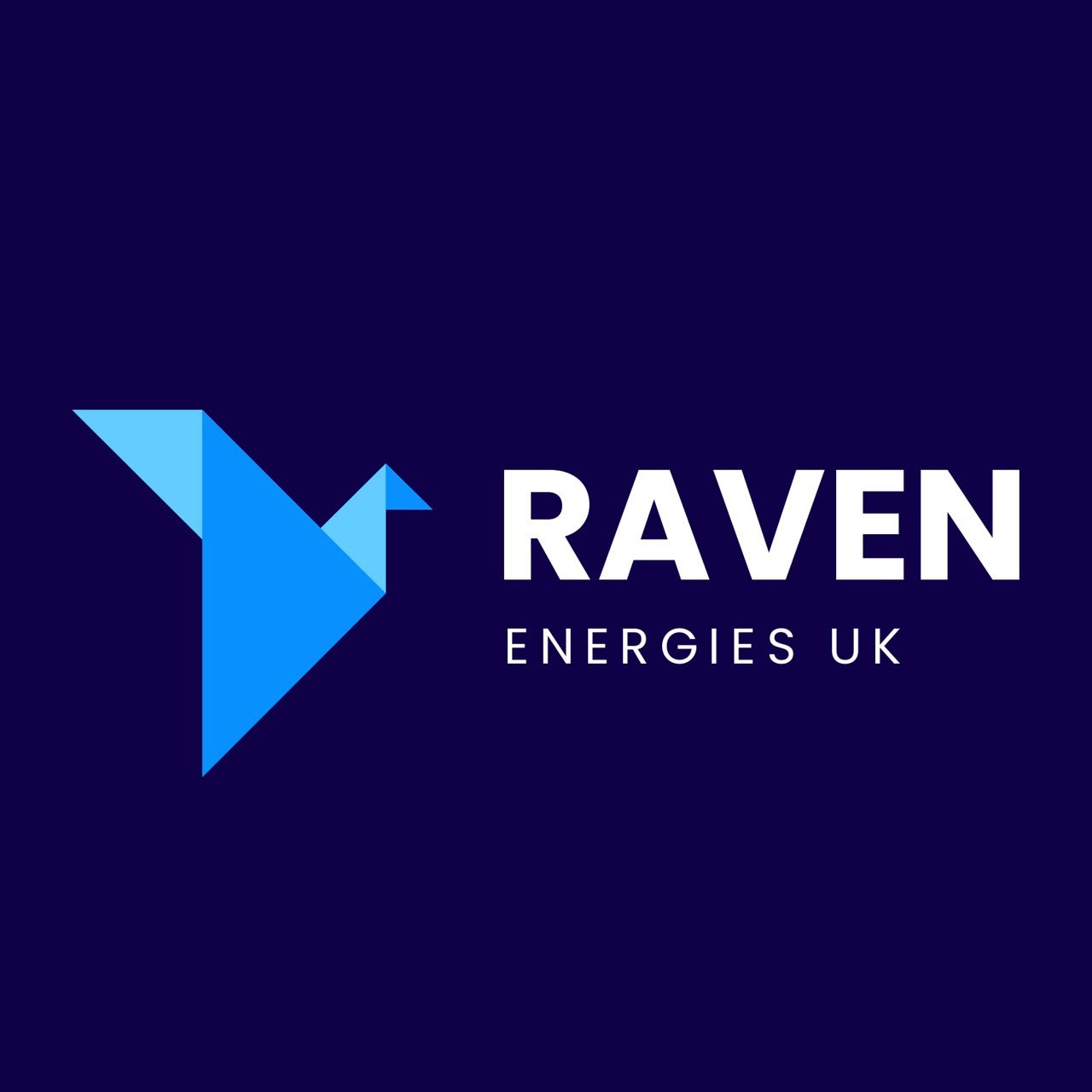 RAVEN